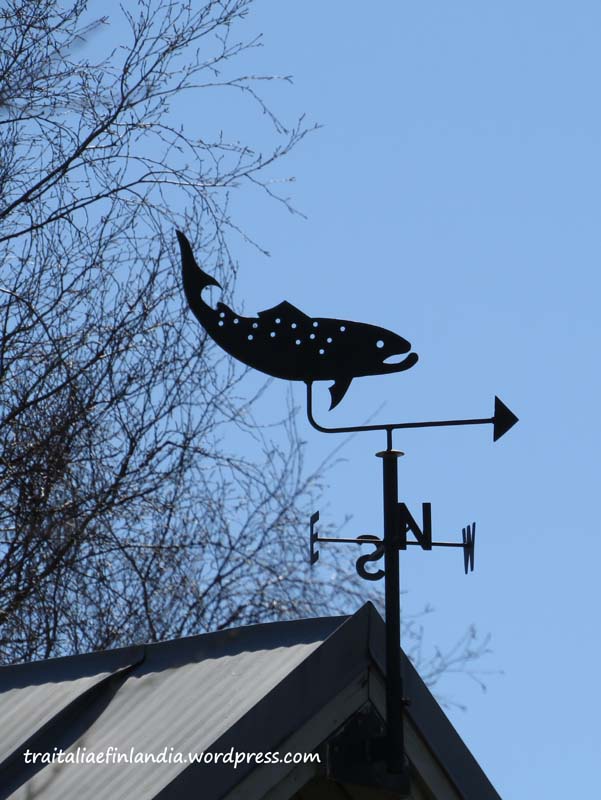 pesca