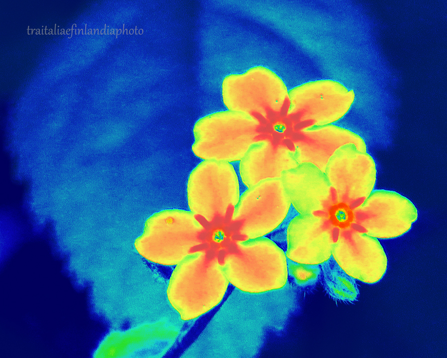 ccccccccccccccccccccccccccc