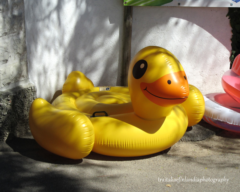 IMG_0433.JPGcc.JPGcc