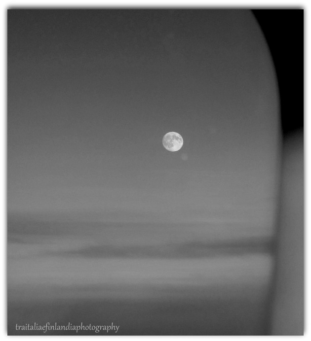 IMG_3413.JPGcc.JPGbb.JPGvv