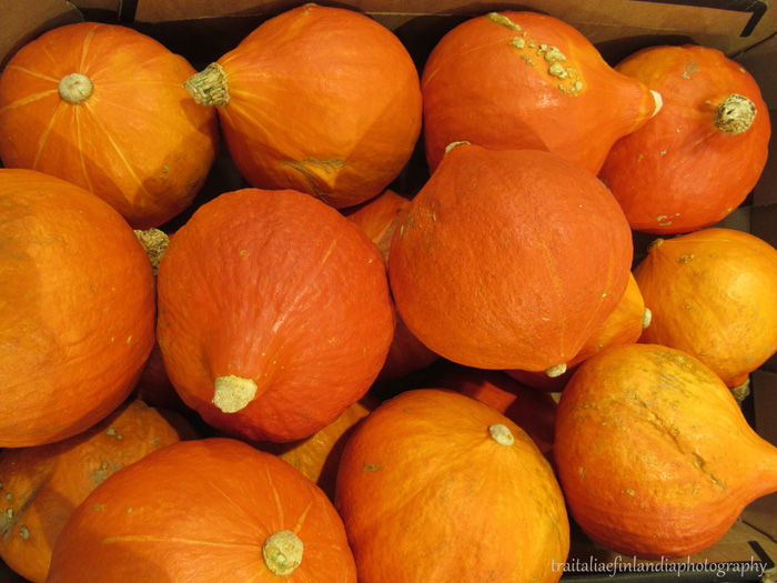 IMG_5068.JPGcc.jpggggggg