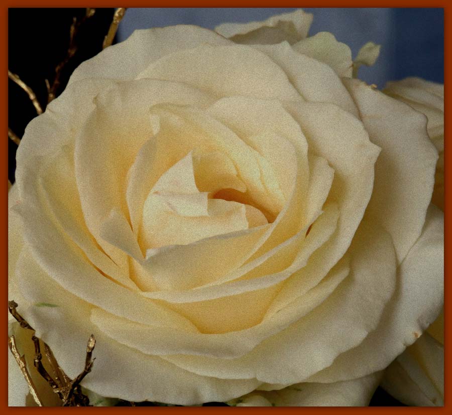 IMG_5146.JPGcc.JPGdd