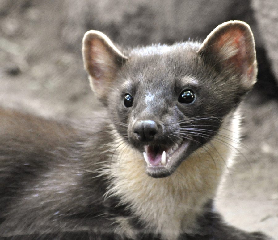 4938566924_093d00246b_b