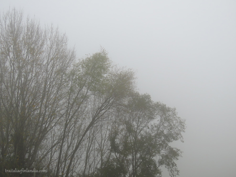 Nebbia (10)