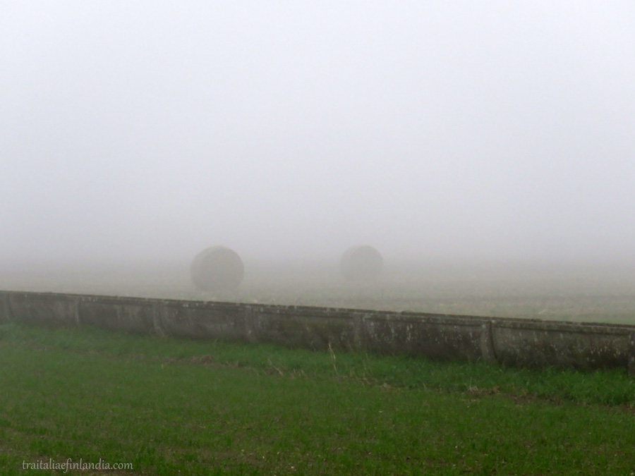 Nebbia (13)