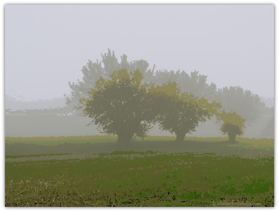 Nebbia (3)hh