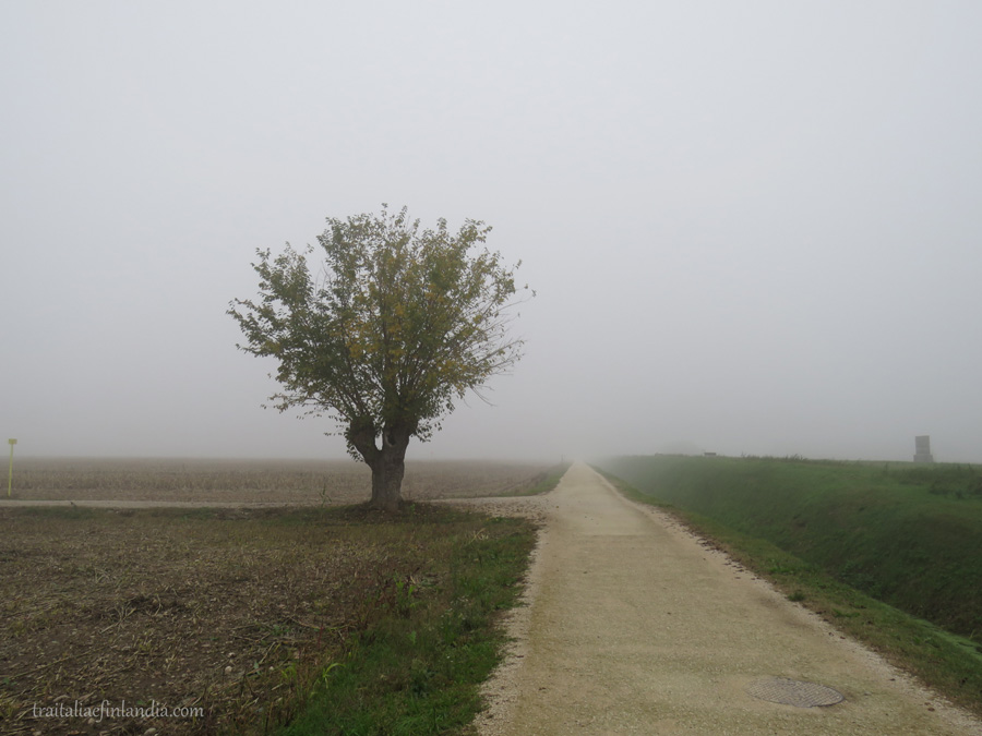 Nebbia (4)