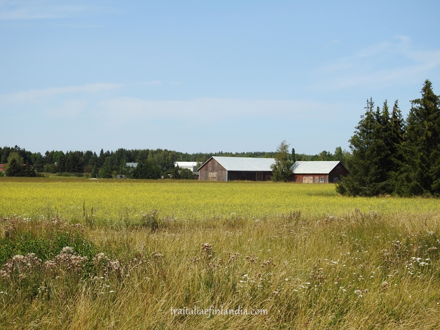 barns2019 (5)