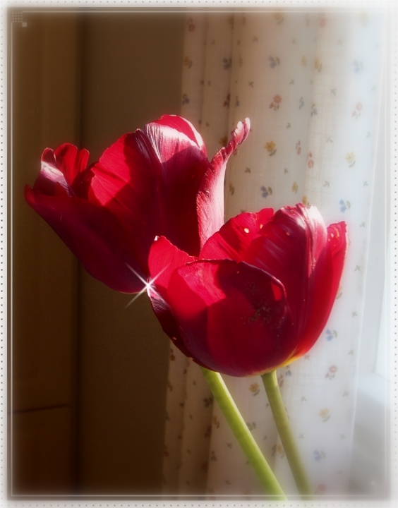 IMG_0830