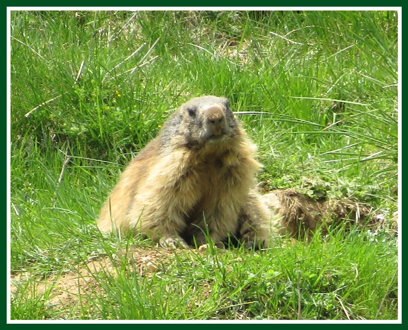 IMG_9091.JPGcc.jpgttttt