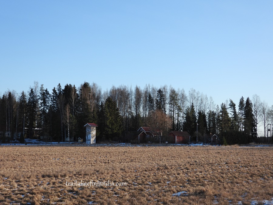 DSCN3538XX (2)