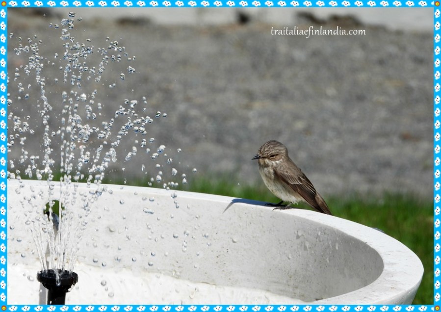 DSCN4807